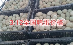 湖南益阳今日鸭蛋价格多少钱一斤？