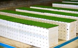 室外蜈蚣养殖技术视频怎么学？