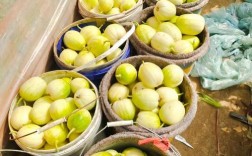 辽宁适合种哪些香瓜品种？