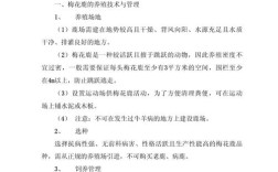 畜牧养殖技术服务具体包含哪些内容？