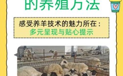 肉羊养殖技术指导方案