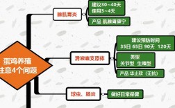 蛋鸡养殖核心技术有哪些？