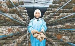 香菇种植技术视频，如何高效掌握？