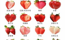 草莓哪个品种口感最好？