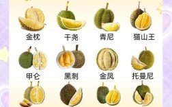 榴莲品种如何靠图片辨认？