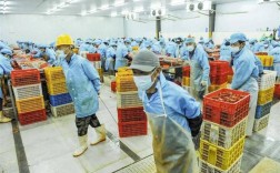 小龙虾工厂化养殖技术如何高效实现？