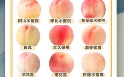 桃子常见品种有哪些？