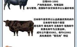 牛品种大小怎么排？最大最小是哪些？