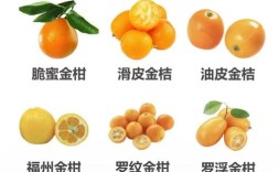 金桔长刺品种有哪些？