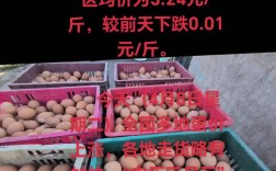今日鸡蛋价格行情如何？