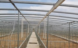 温室大棚甲鱼养殖技术要点有哪些？