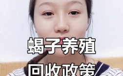 2025年安国蝎子价格会涨还是跌？