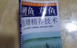 草鱼池塘高产养殖技术有哪些关键要点？