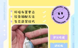 鲮鱼养殖周期一般要多久？