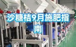 沙糖桔施肥管理有哪些关键技术？