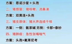 生猪养殖技术培训方案如何有效落地？
