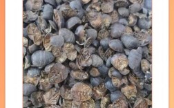 土元收购价多少？厂家电话有吗？