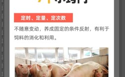 农广天地养猪技术有哪些核心要点？