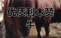 哪里利木赞牛品种好