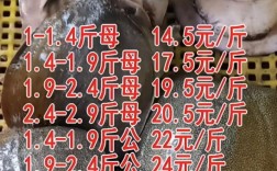 2025温室甲鱼价格会涨还是跌？