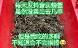 盘锦稻田蟹今日价格多少钱一斤？