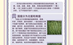 牧草品种如何科学选？