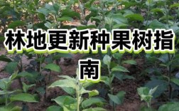 林地能随意更换品种吗？