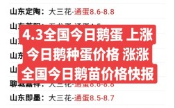 六九养鸭网今日鸭苗价格