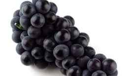 黑色葡萄品种有哪些？