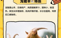 龙陵黄山羊养殖技术要点有哪些？