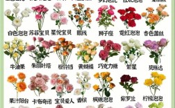 玫瑰花的品种名称为何如此繁多？它们背后藏着怎样的分类逻辑与独特故事？