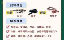 养蛇基地免费学技术，是真的吗？