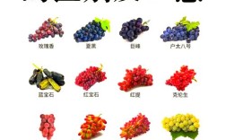 葡萄品种图片大全，收录了多少品种？