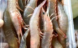 清虾和沙虾是同一品种吗？