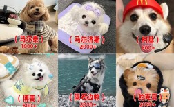 2025年河南肉狗价格会涨还是跌？