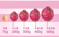 火龙果多少钱一个？