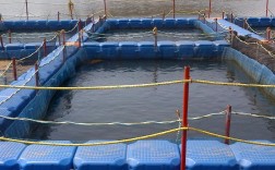 河道网箱养殖技术照片有何要点？