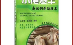 小尾寒羊高效植技术如何实现？