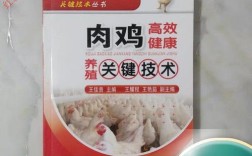 肉鸡高效饲养的关键技术有哪些？