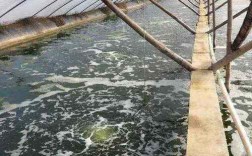 大棚养虾PH过高怎么办？