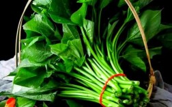 专产红苕尖的蔬菜品种有何特别之处？