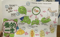 家蚕的饲养技术与管理