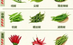 辣椒品种有哪些？分类图片详解来了！
