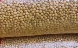 安徽宿州最新大豆价格多少？