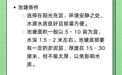 天然甲鱼怎么养才高效？