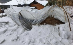 雪中布棚价格多少？