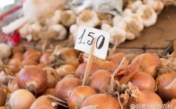 2025年新葱价格会涨还是跌？