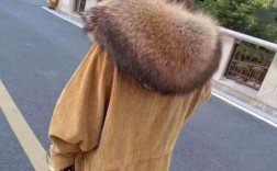 未来几年貉子皮价格会涨还是跌？