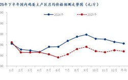 2025今日肉种蛋价格具体是多少？