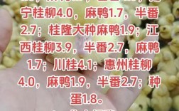 山东鸭苗价格最新走势如何？